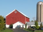 Welcome to our farm Welcome to our farm